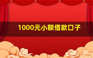 1000元小额借款口子