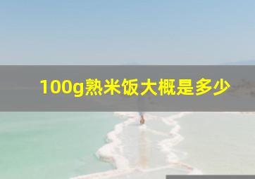 100g熟米饭大概是多少