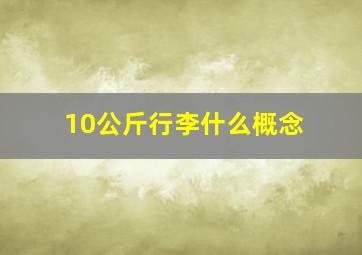 10公斤行李什么概念