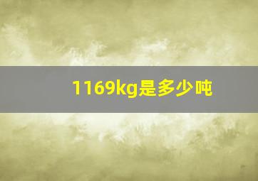 1169kg是多少吨