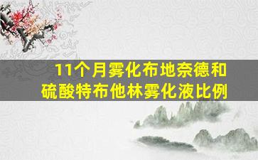 11个月雾化布地奈德和硫酸特布他林雾化液比例