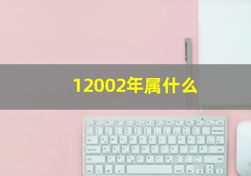 12002年属什么