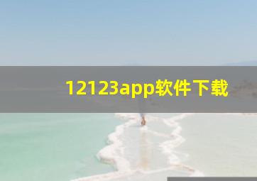 12123app软件下载