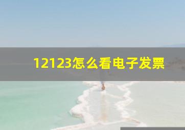 12123怎么看电子发票