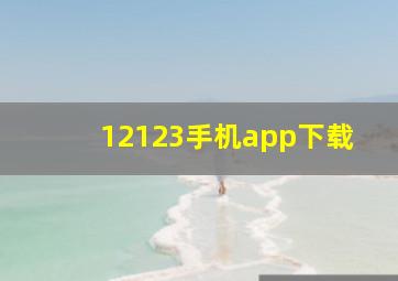 12123手机app下载