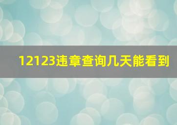 12123违章查询几天能看到