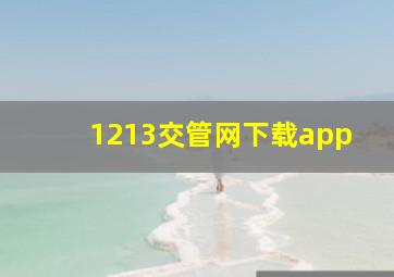 1213交管网下载app