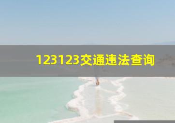 123123交通违法查询