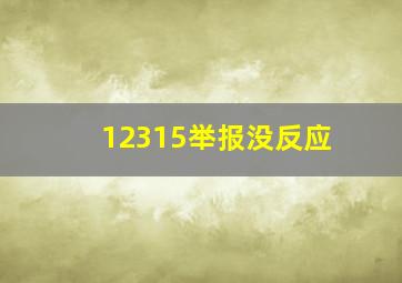 12315举报没反应