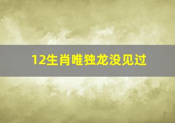 12生肖唯独龙没见过