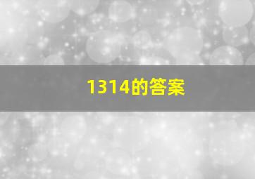 1314的答案