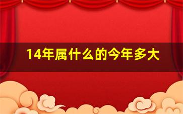 14年属什么的今年多大