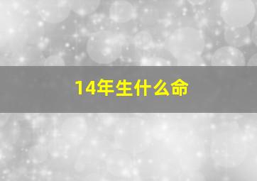 14年生什么命