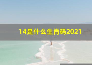 14是什么生肖码2021