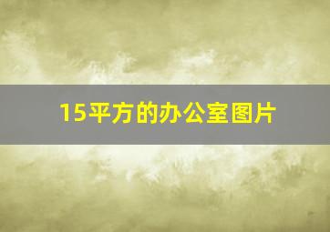 15平方的办公室图片