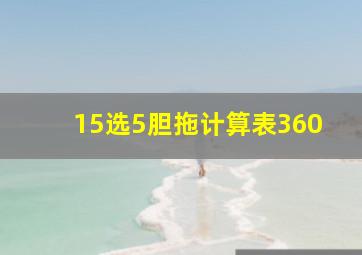 15选5胆拖计算表360