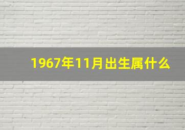 1967年11月出生属什么