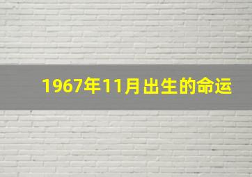 1967年11月出生的命运