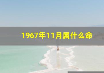 1967年11月属什么命