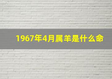 1967年4月属羊是什么命