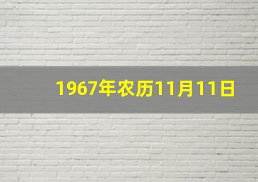 1967年农历11月11日