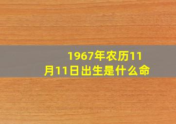 1967年农历11月11日出生是什么命