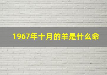 1967年十月的羊是什么命