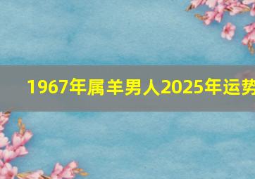 1967年属羊男人2025年运势