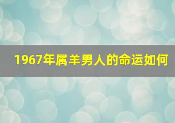 1967年属羊男人的命运如何