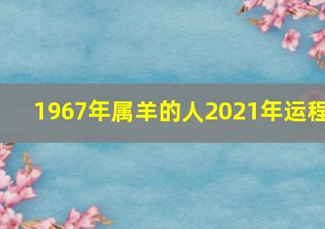 1967年属羊的人2021年运程