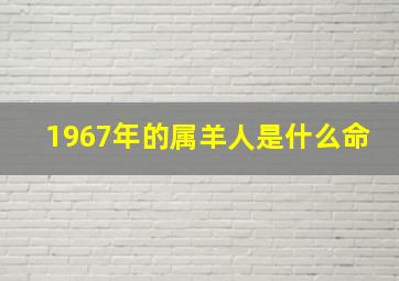 1967年的属羊人是什么命