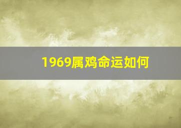 1969属鸡命运如何