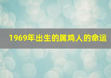 1969年出生的属鸡人的命运