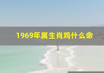 1969年属生肖鸡什么命