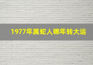 1977年属蛇人哪年转大运