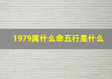 1979属什么命五行是什么