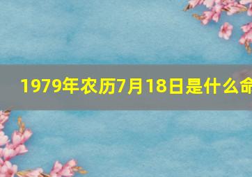 1979年农历7月18日是什么命