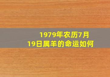 1979年农历7月19日属羊的命运如何