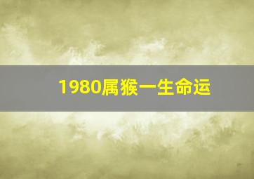 1980属猴一生命运