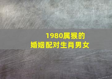 1980属猴的婚姻配对生肖男女