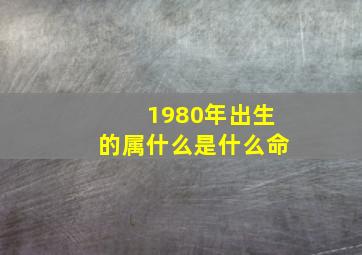 1980年出生的属什么是什么命