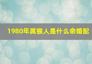 1980年属猴人是什么命婚配