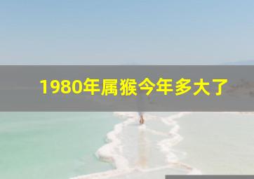 1980年属猴今年多大了