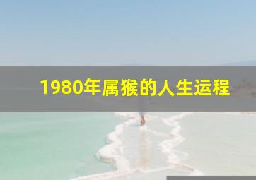 1980年属猴的人生运程