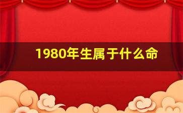 1980年生属于什么命