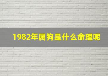 1982年属狗是什么命理呢