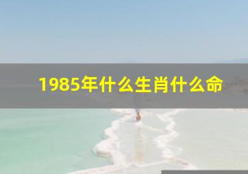 1985年什么生肖什么命