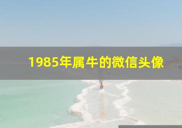 1985年属牛的微信头像