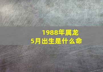 1988年属龙5月出生是什么命