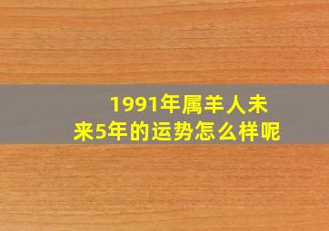 1991年属羊人未来5年的运势怎么样呢